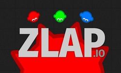 Zlap.io