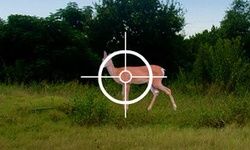 Jagdspiele Kostenlos Jagdspiele Kostenlos