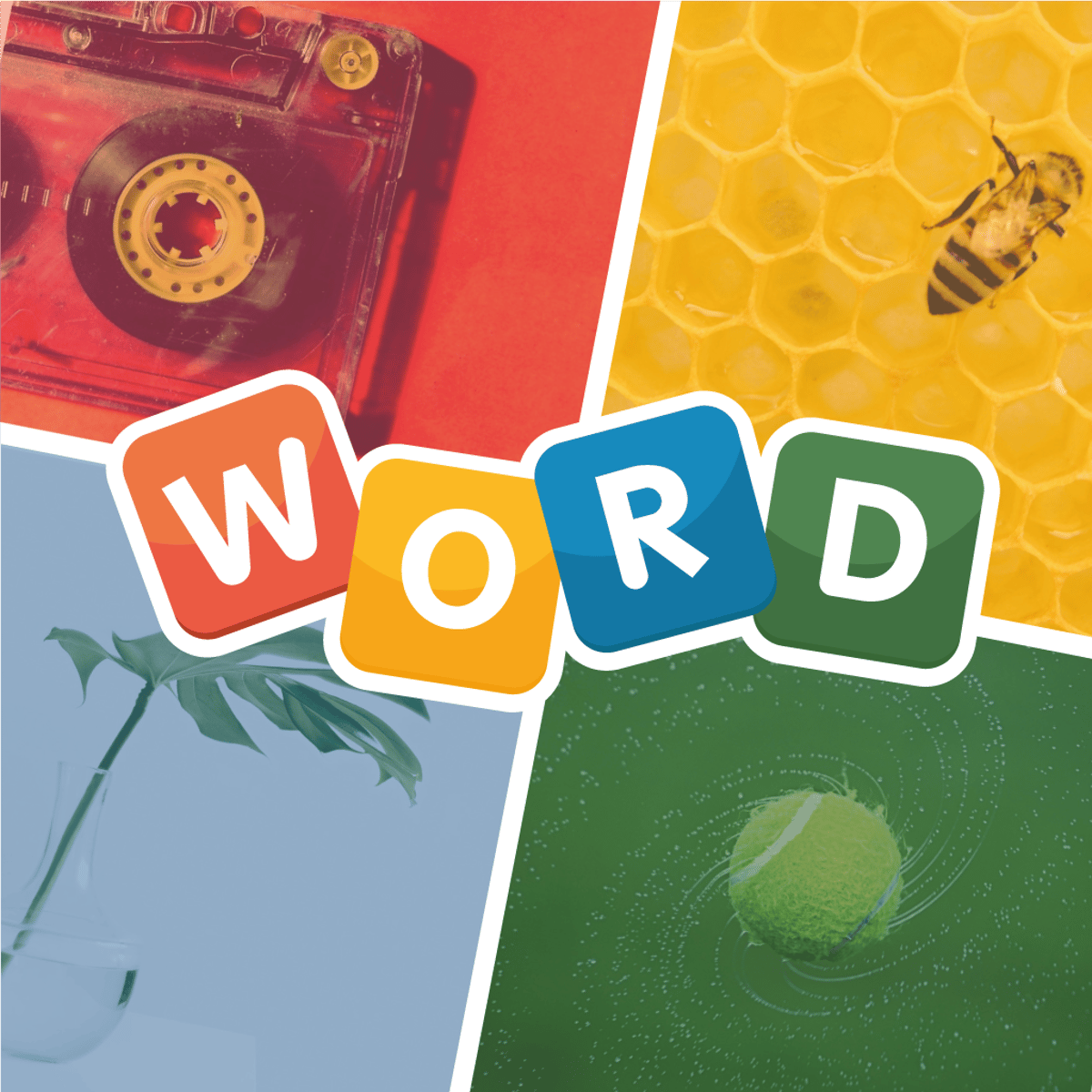 4 PICS 1 WORD - Play Online for Free! | Poki