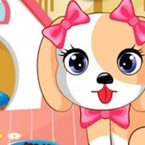 Garderie pour Chiots