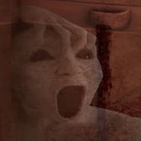 Fuite de Maison Hantée 2