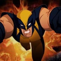 Wolverine: Search and Destroy