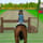 Horse Jumping 2
