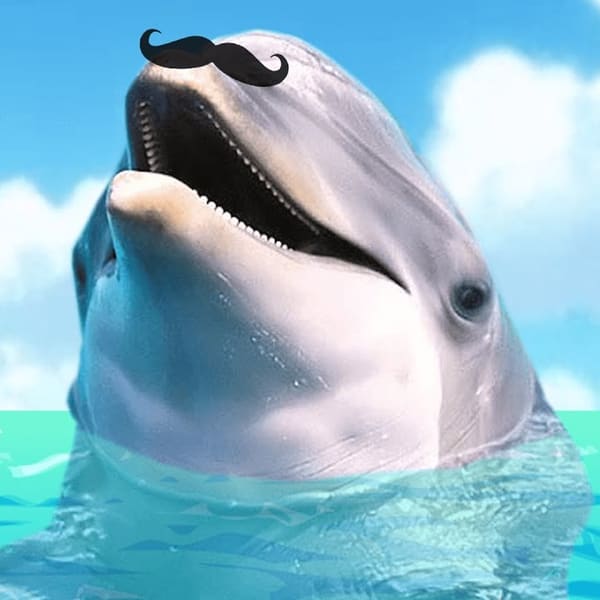 JEUX DE DAUPHIN Joue à des Jeux de Dauphin Gratuits sur Poki