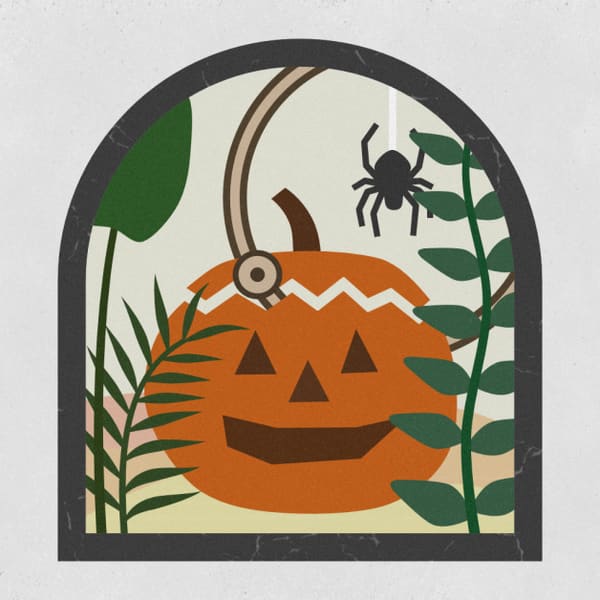 SHAPE FOLD NATURE Spiele Shape Fold Nature auf Poki