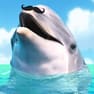 Jeux de Dauphin