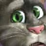 Jeux de Talking Tom