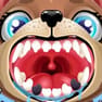 Puppy Teeth Dentist