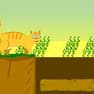 Aventure de Chat Orange