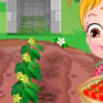Baby Hazel Tomato Farming