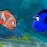 Nemo: Course Aquatique