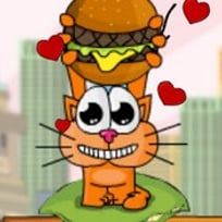 Cat Around The World