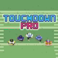 Touchdown Pro