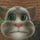 Talking Tom Cat