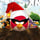 Angry Birds Space Xmas