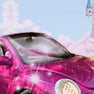 Prinses Auto Wassen