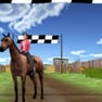 Horse Jumping 4