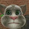 Talking Tom Cat