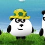 3 Pandas in Brazil